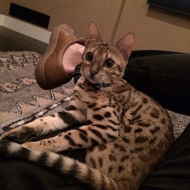 If 'KUWTK's Modigliani Painting Was Real, Here's How Scott