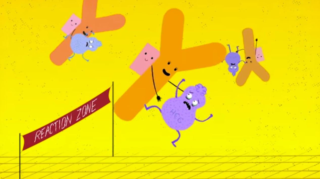 How Do Pregnancy Tests Work? This Video from Tien Nguyen and TEDEd Explains