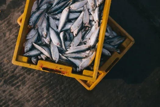 11 Things To Eat To Avoid Chronic Fatigue According To Experts