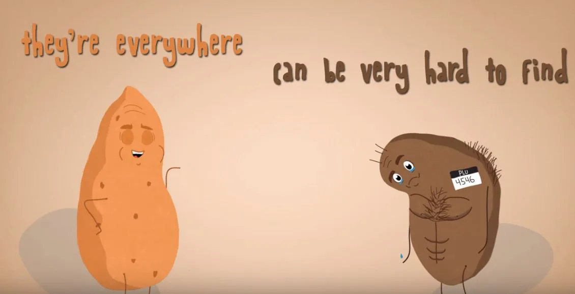 What S The Difference Between Sweet Potatoes Yams Here S How To Tell Them Apart Video