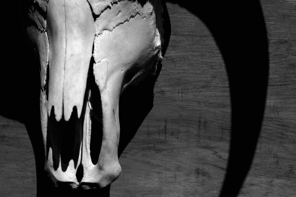 The 6 Weirdest Deaths In History Remind Us Of Our Own Fragile Mortality