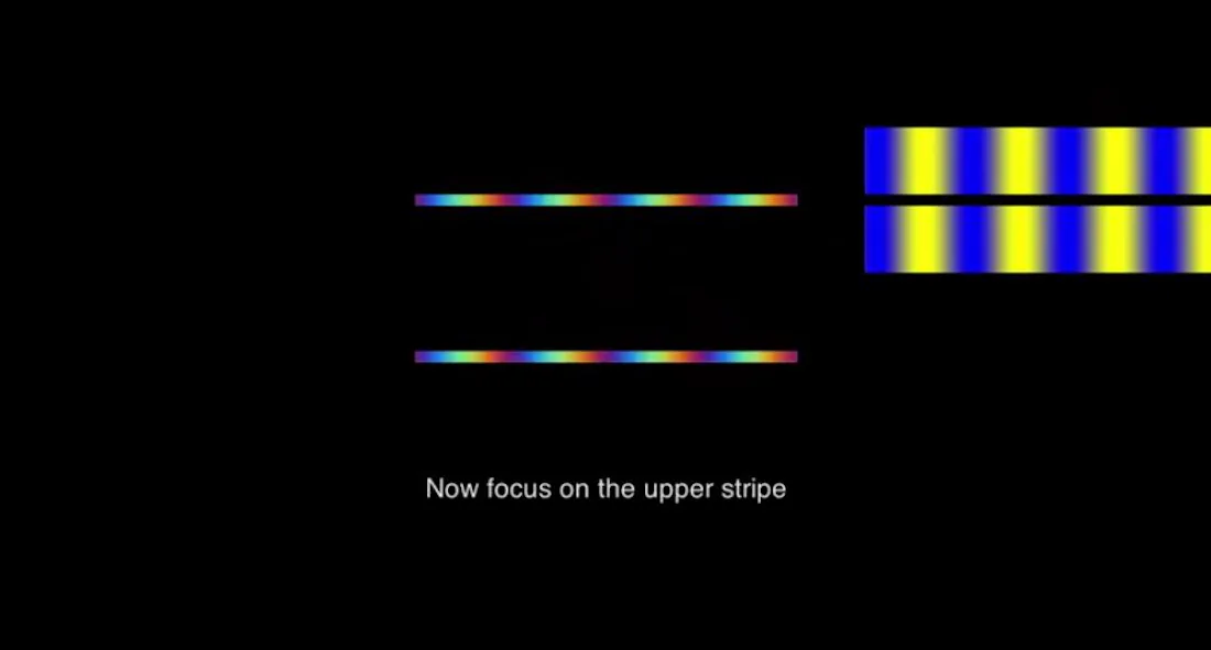 The Splitting Color Illusion From The Best Illusion Of The Year Contest ...