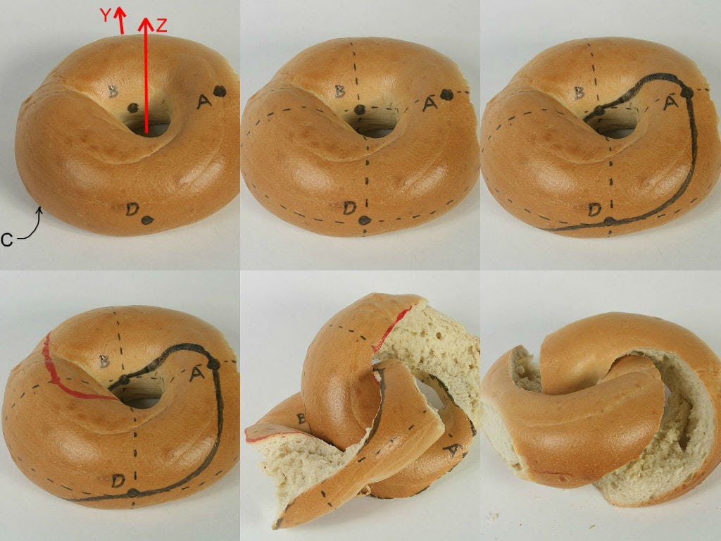 The Best Way to Cut a Bagel Turns Your Breakfast into Mathematical