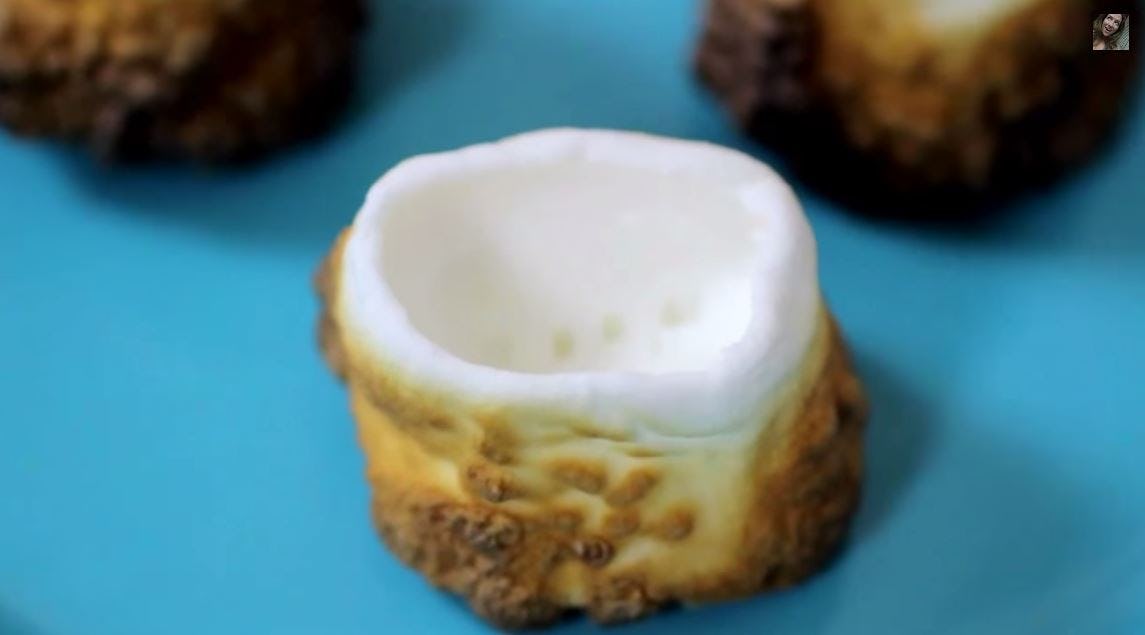 Learning How to Make a Toasted Marshmallow Shot Glass Is the Single