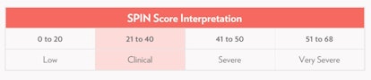SPIN score interpretation table
