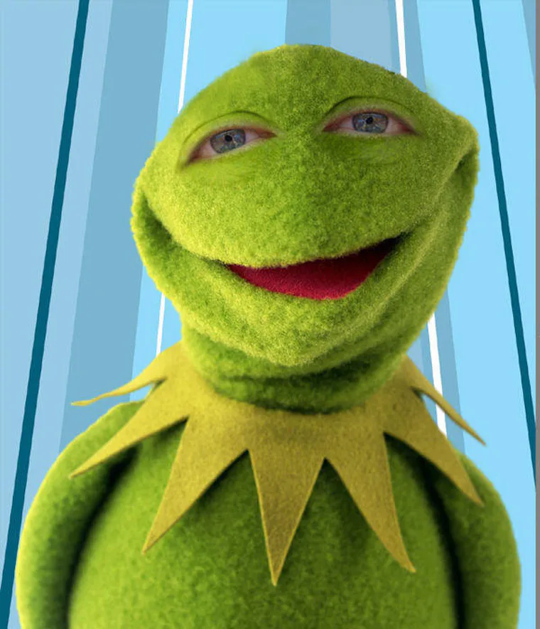 Muppet Flail 9 #Kermit and Muppet Memes Way Better Than #ButThatsNoneOfMyBusinessTho