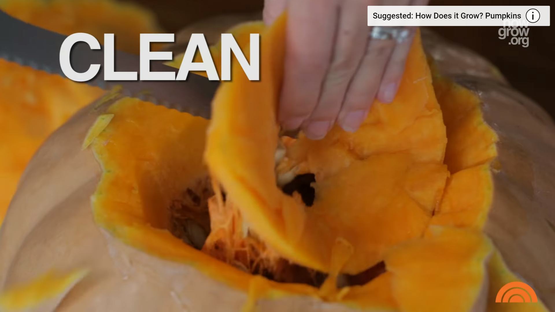 Did The Pilgrims Make Pumpkin Pie At Thanksgiving? The Recipe Is A