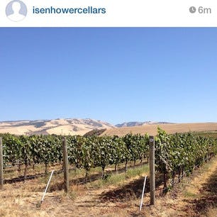 The 10 Best Places For Wine Tours in America Might Surprise You, So