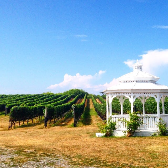 The 10 Best Places For Wine Tours in America Might Surprise You, So