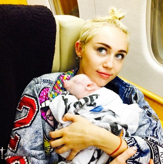 Miley Cyrus Adopts Pet Pig That is Officially the Cutest Member of the