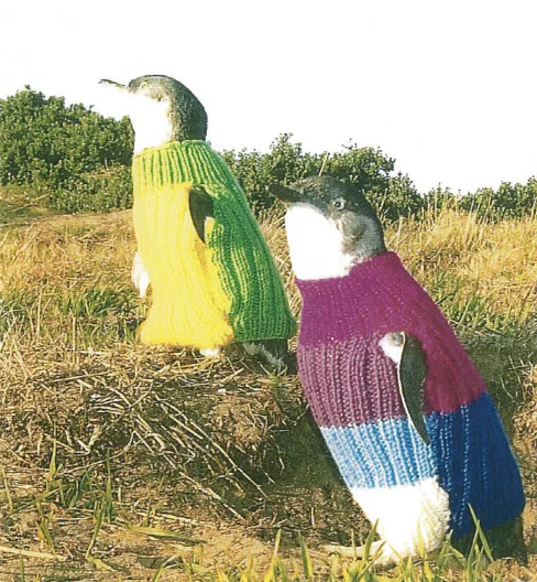 made in zzz - Red Penguin Knit Sweater