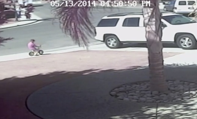 Cat Saves Child From Dog Attack Restoring The Reputation