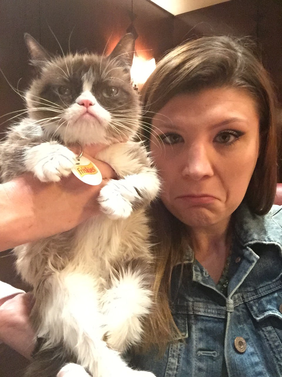 Grumpy Cat Is Helping Out Her Fellow Felines This Holiday Season