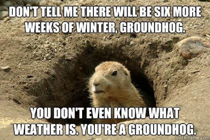 These Groundhog Punxsutawney Phil Memes Will Get You Through The Cold ...