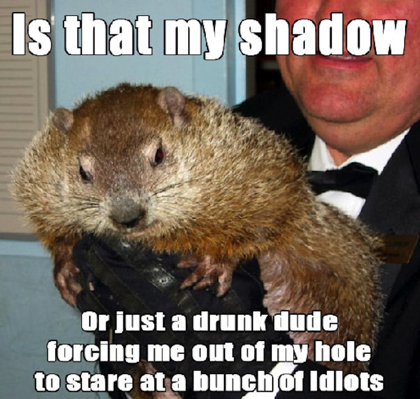 These Groundhog Punxsutawney Phil Memes Will Get You Through The Cold