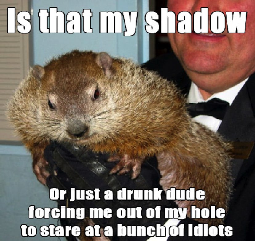 Punxsutawney Phil Groundhog Day 2025 Meme