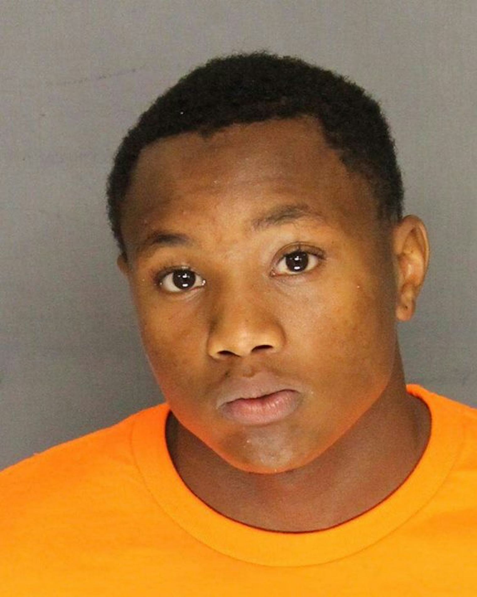 Facebook Mugshots