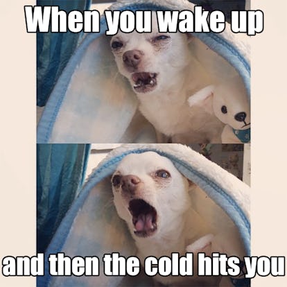 13 First Day Of Winter Memes That Will Help Cure Those Seasonal Blues 13 First Day Of Winter Memes That Will Help Cure Those Seasonal Blues