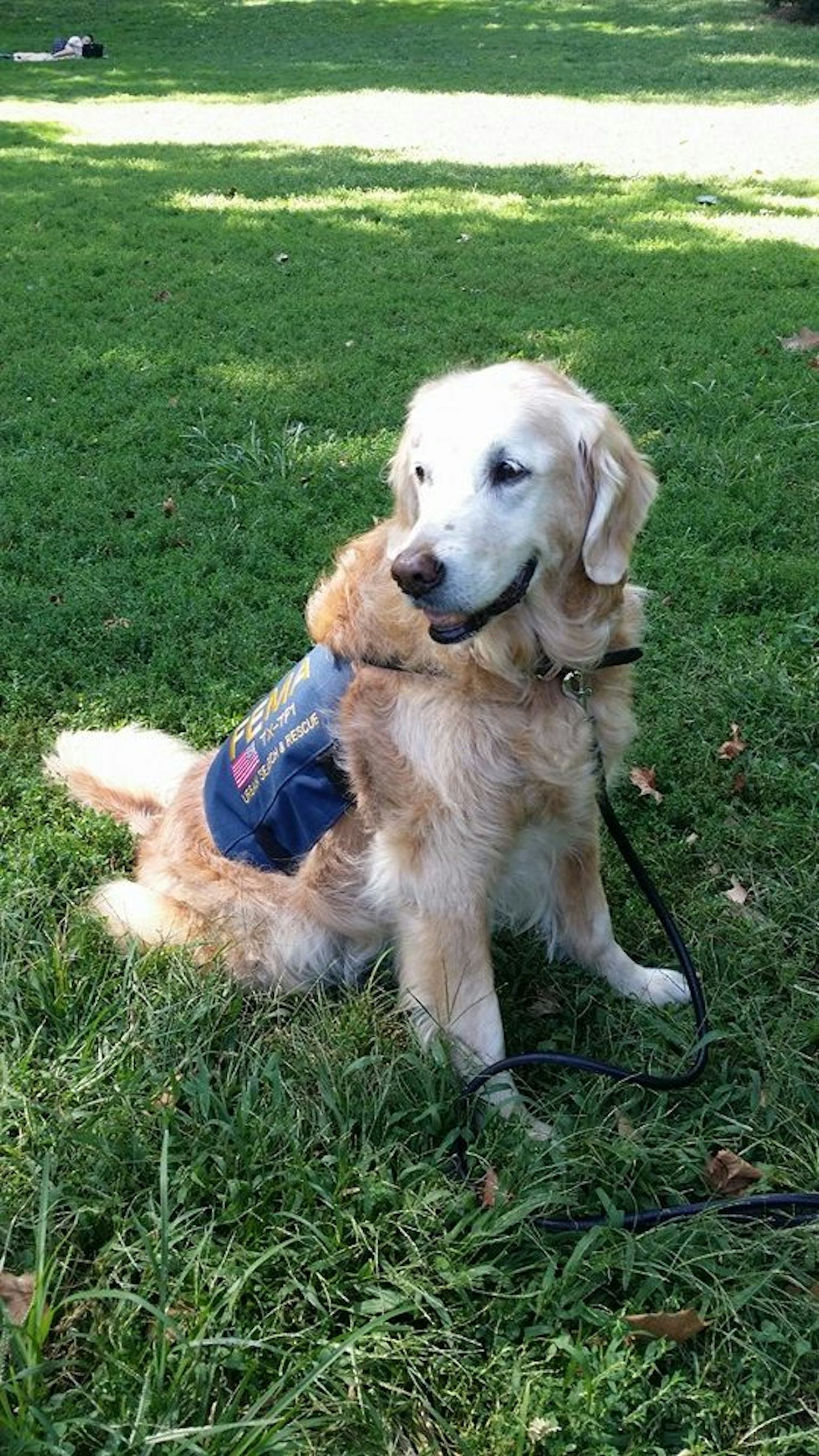 Photos Of The Last 9/11 Rescue Dog Visiting Ground Zero Are Heartbreaking
