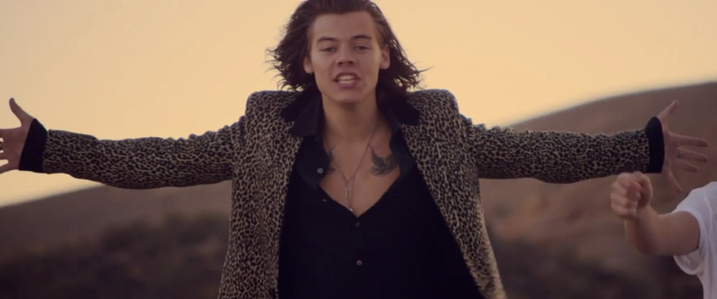 Harry Styles' Hair In 'Steal My Girl' Is By Far The Best Part Of A