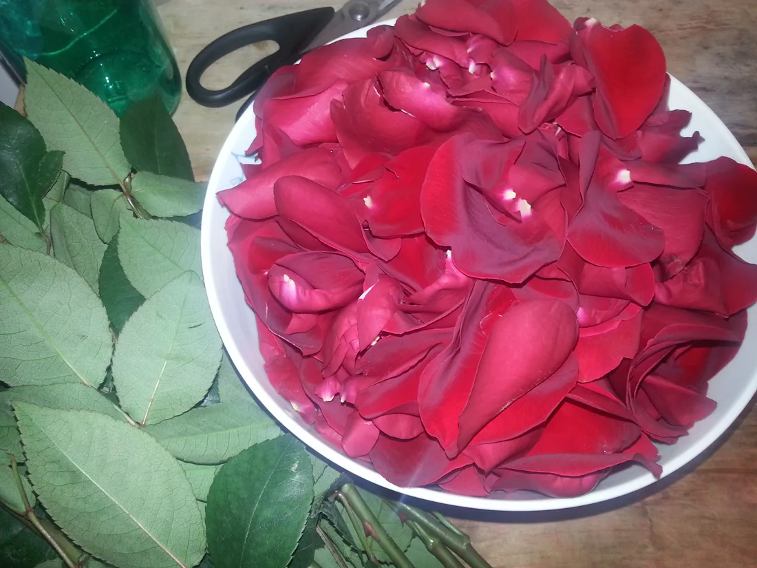 How To Use Rose To Make All Sorts Of Excellent Beauty Products — PHOTOS