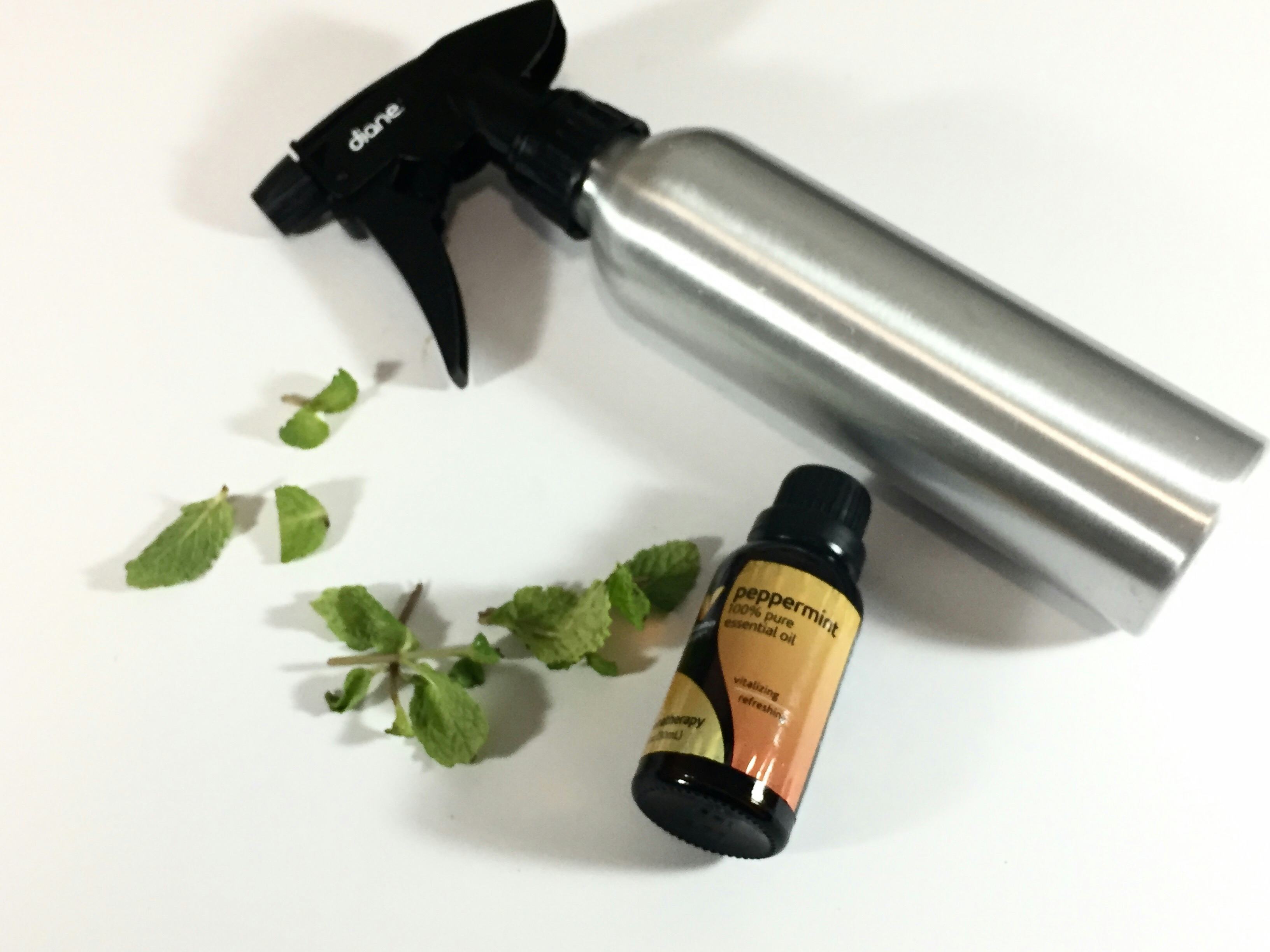 7 Ways To Use Fresh Mint For A Refreshing Beauty Routine — PHOTOS