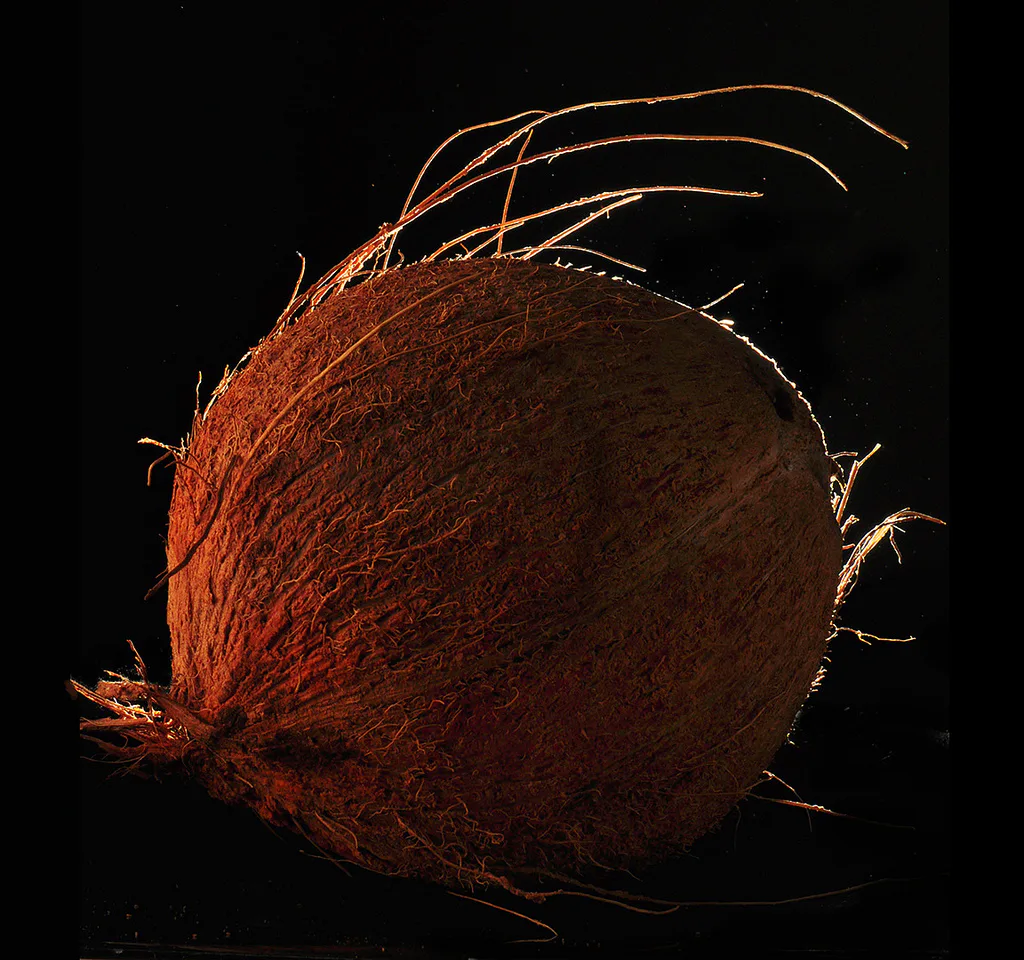 home remedies for yeast infection itch