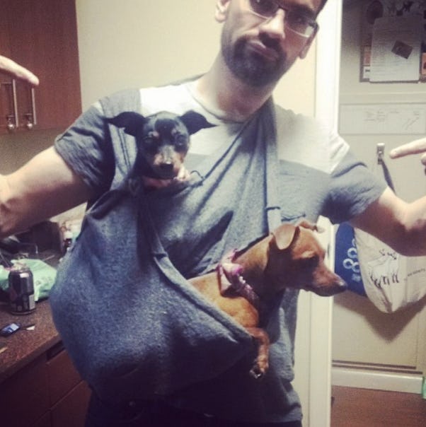 heart pup dog carrier shark tank