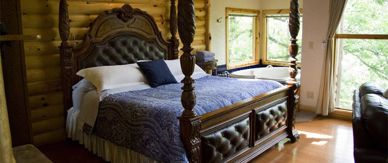 9 Amazing Tree House Hotels From Around The World