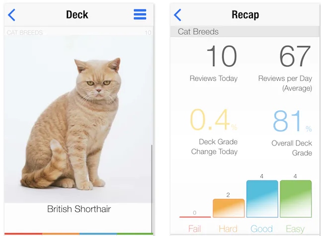6 apps for learning languages ranked by how you like to study