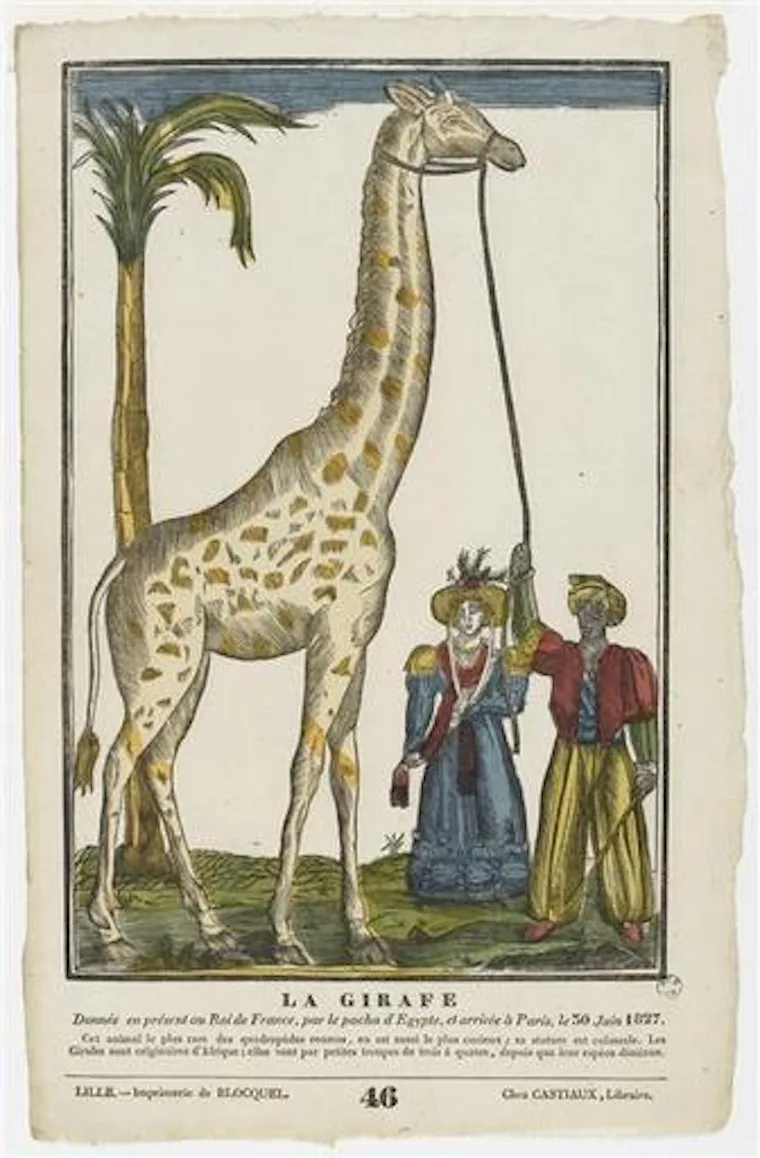 9 Surprisingly Famous Animals From History 9-surprisingly-famous-animals-from-history