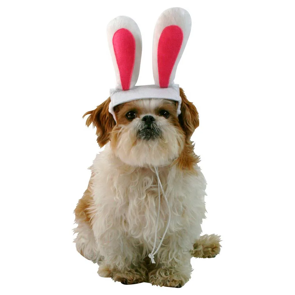 A Snapchat Dog Ears Costume Round-Up To Get Ready For Halloween