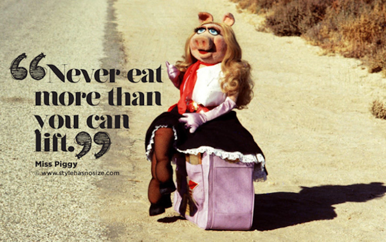 7 Miss Piggy Quotes That Make Us Glad She's Not "Delicate and Lovely"
