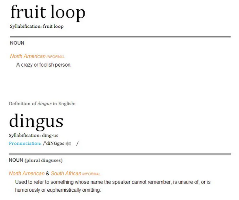 Dingus Def What Is A Fruit Loop Dingus? 'Big Brother' Fans Need To Know