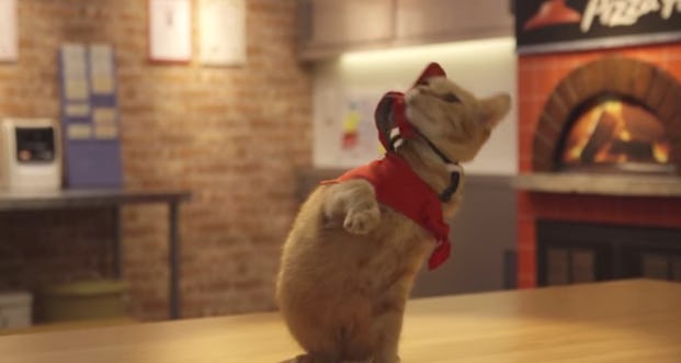 The "Pizza Cat" Eatery By Japan's Pizza Hut Is The Greatest Place That