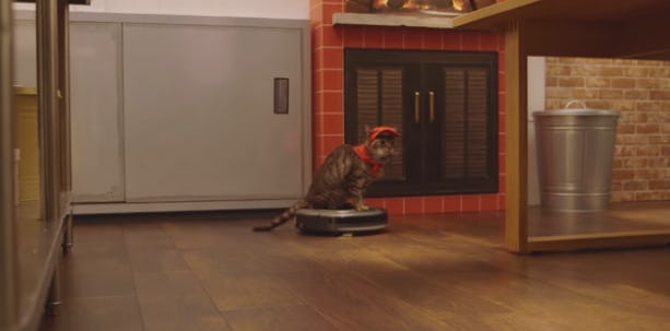 The "Pizza Cat" Eatery By Japan's Pizza Hut Is The Greatest Place That