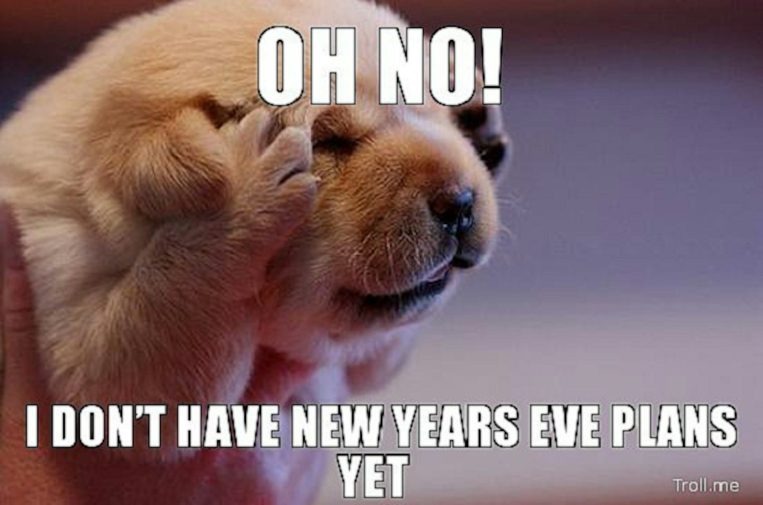 8 Funny New Year S Eve Memes To Keep You Laughing Into 2016