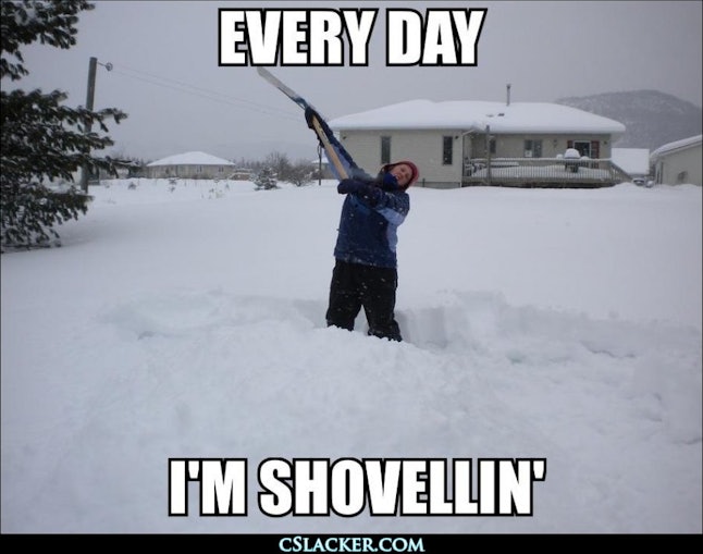 auto format resume That You Snow 11 Winter Storm Now To Memes Help Deal Jonas auto format resume That You Snow 11 Winter Storm Now To Memes Help Deal Jonas