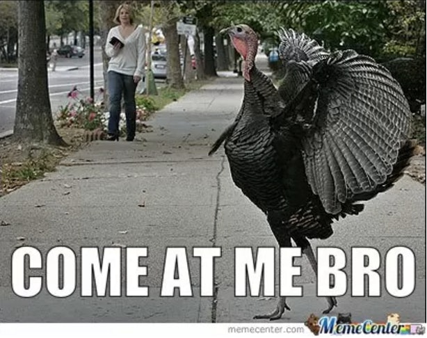 15 Funny Thanksgiving Memes That Your Family Will Appreciate