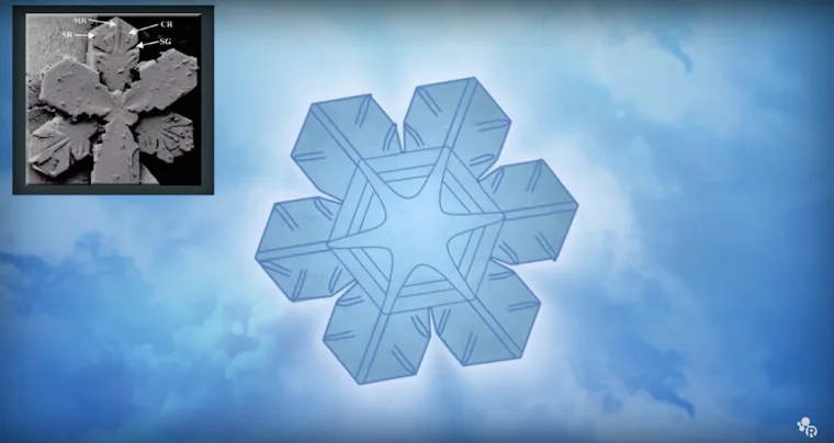 How Do Snowflakes Form? The American Chemical Society Shows Why Each ...