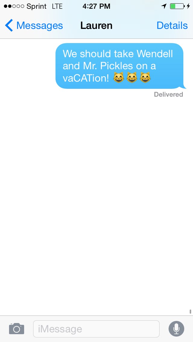 What Do All The Cat Emoji Mean? All Your Questions Answered, Including