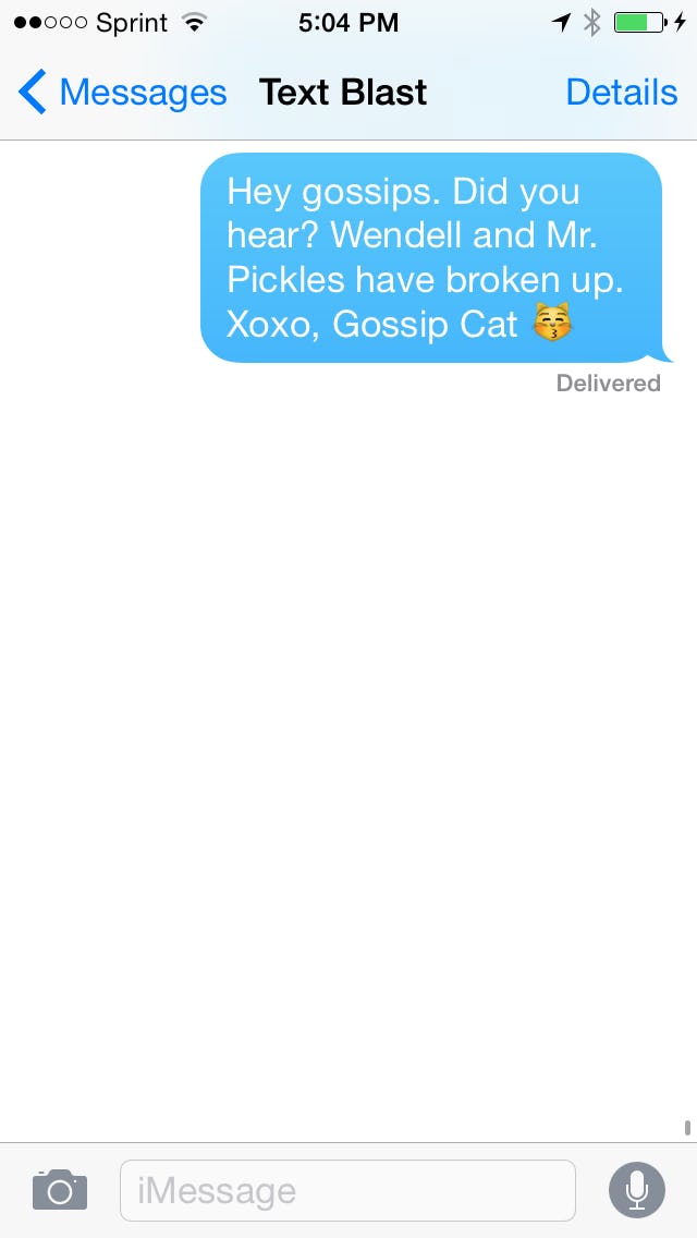 What Do All The Cat Emoji Mean? All Your Questions Answered, Including