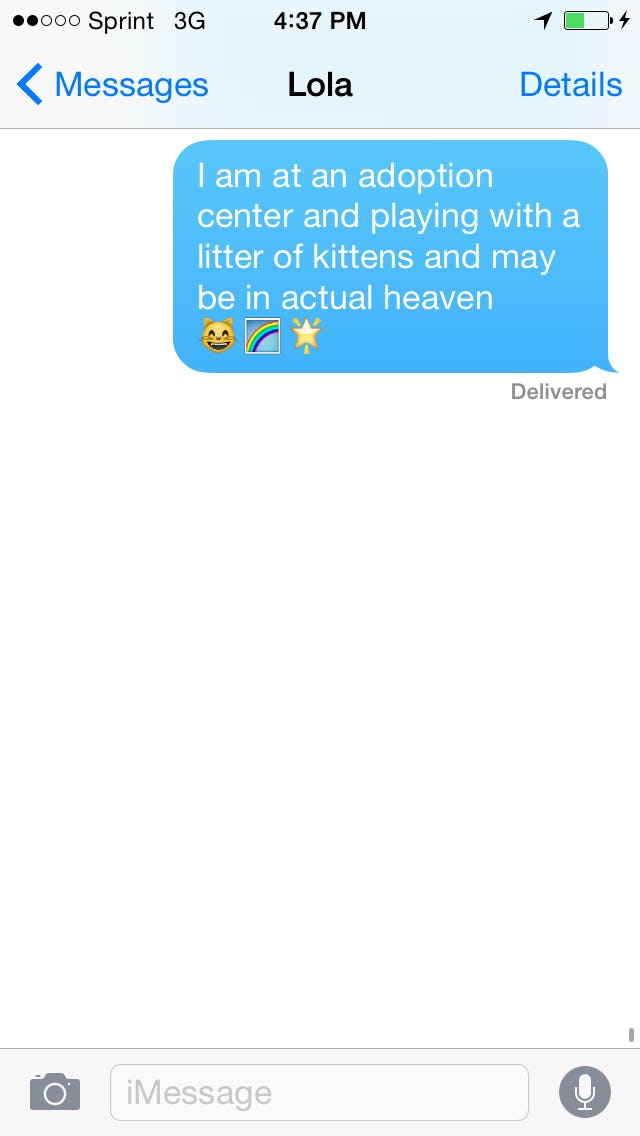 What Do All The Cat Emoji Mean? All Your Questions Answered, Including