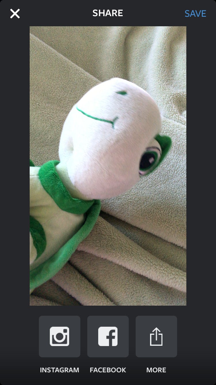 How To Use Boomerang On Instagram & Get In On All The Video Sharing Fun