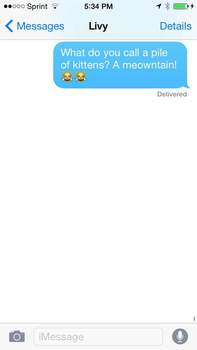 What Do All The Cat Emoji Mean? All Your Questions Answered, Including