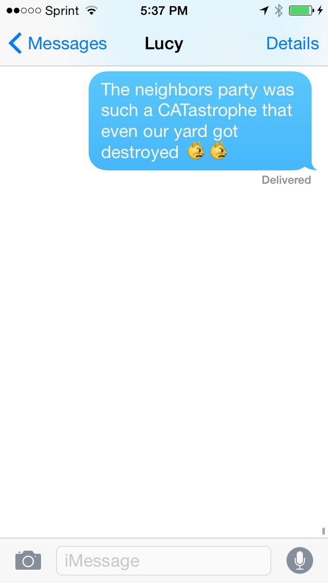 What Do All The Cat Emoji Mean? All Your Questions Answered, Including