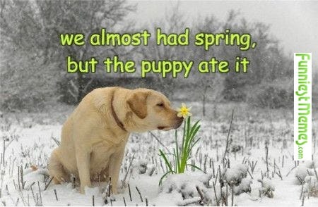 18 First Day Of Spring Memes So You Can Start The Season Off With A Laugh   1123a5d0 Cebc 0133 A291 0e55e2be01e5 