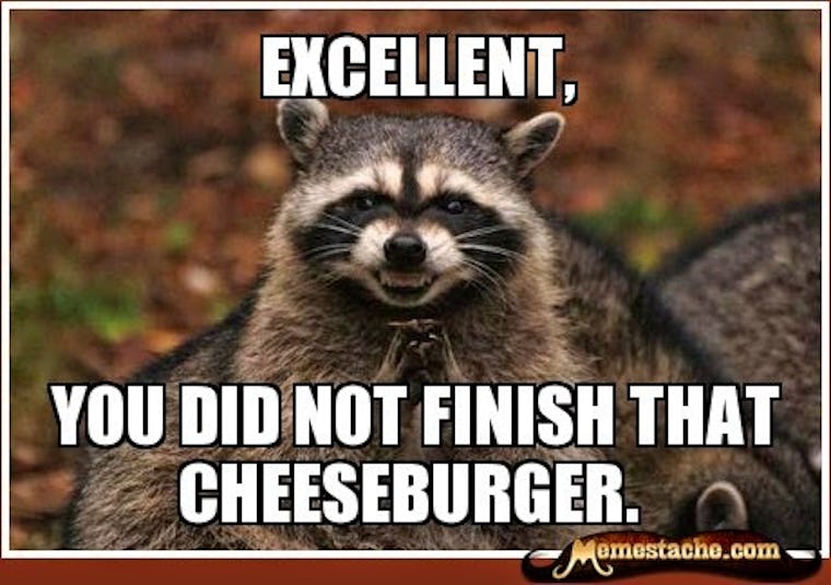 14 National Cheeseburger Day Memes That Will Make Your Mouth Water 14 National Cheeseburger Day Memes That Will Make Your Mouth Water