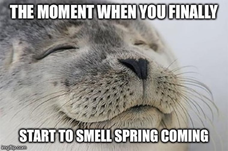 18 First Day Of Spring Memes So You Can Start The Season Off With A Laugh