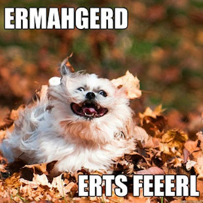 12 Fall Memes That Will Get You Ready For Your Favorite Season 12 Fall Memes That Will Get You Ready For Your Favorite Season
